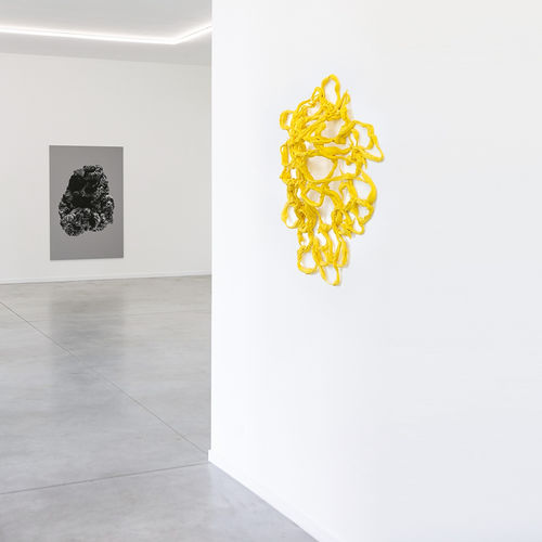 TAMARA VAN SAN, confusion or wonder