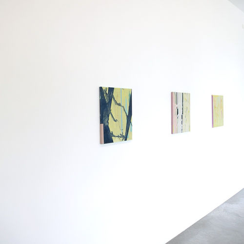 CATHARINA DHAEN, A GOLDEN EMOTION