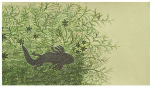 Melanie Smith presents : “A Time of Freedom in Which the World Had Been Possible”, a video installation at Museo Jumex, Mexico city