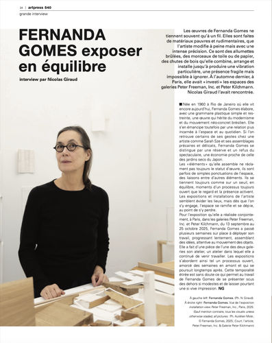 In-Depth Artpress Interview with Fernanda Gomes