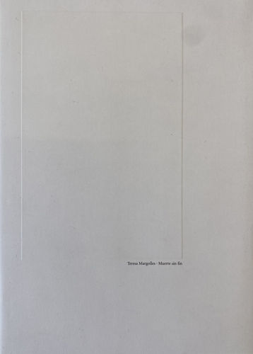 Teresa Margolles, Muerte Sin Fin, 2004
