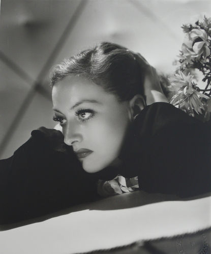 Group Show, The Bold and the Beautiful