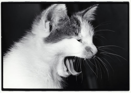 Ten Unmissable Highlights From Paris Photo 2021