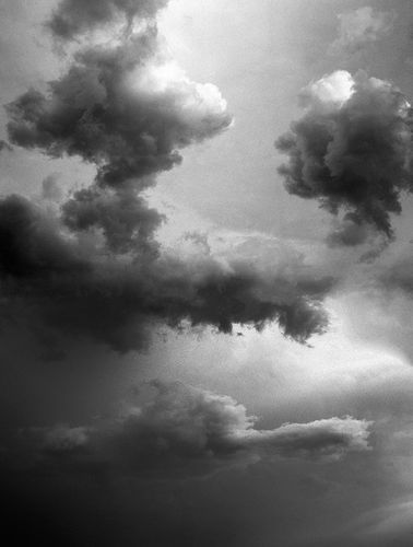 Vasylyna Vrublevska: 'The Garden of Nothing'