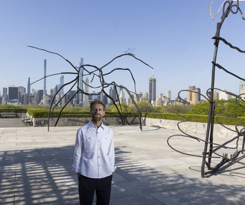 Artist Interview—Petrit Halilaj: The Roof Garden Commission, Abetare | Met Exhibitions