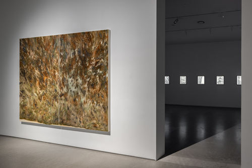 The Weird and The Eerie