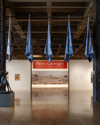 Image by Lance Gerber, courtesy of Petra Cortright Studio