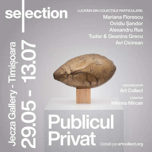 ArtCollect's - Publicul Privat / The Private Public , works selected from five Romanian art collections, curator: Mihnea Mircan