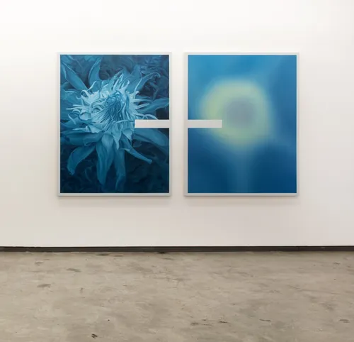 Blue Lotus by Javier Peláez, Curated by Christian Barragán at Main Room