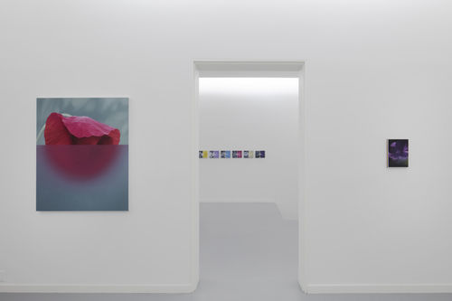 Un posible jardín by Javier Peláez, at Casa Siza, curated by Christian Barragán