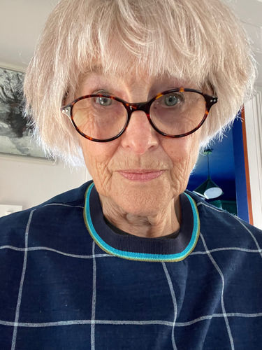 Jane Wheeler with glasses and short hair wearing a blue checkered shirt.