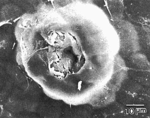 PERFORMANCE LECTURE | IS THERE ANY SNOW?, SAHA STUDIO, ISTANBUL