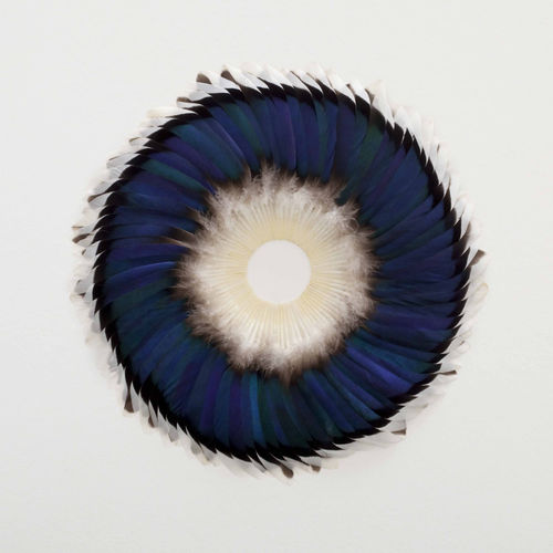 Sepal Speculum Kate MccGwire