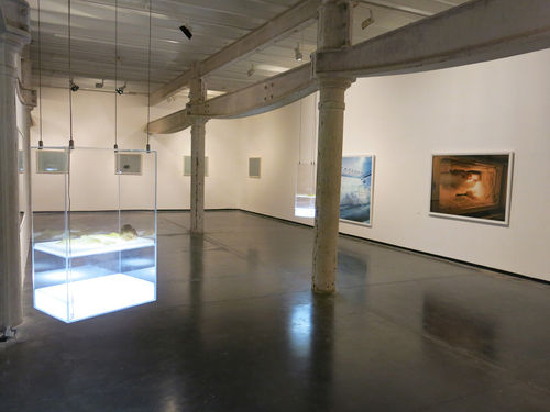 When the wind blows, Prajakta Potnis