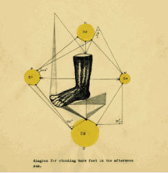 MY HIGHLIGHTS FROM FRIEZE LONDON 2014
