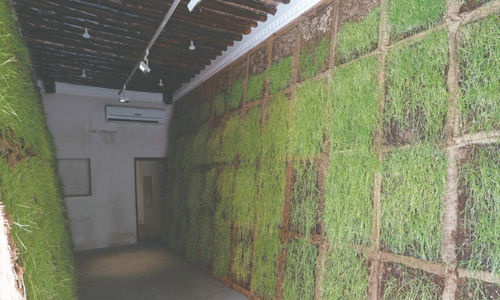 Un, Pani, Sut, Risham Syed