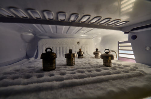 Drawing Room: Why Prajakta Potnis’s art gives Palak Modi chills