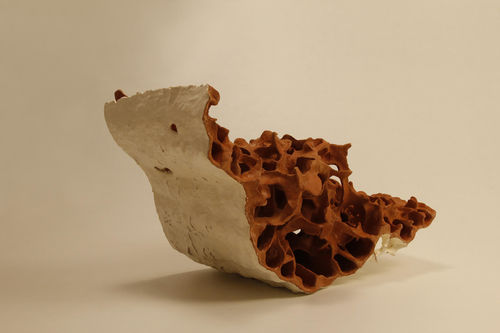 Vegetal sculptures of Khageswar Rout explore complex natural structures, Khageswar Rout’s Annex & Dissever Code present enlarged, yet intricate organic...