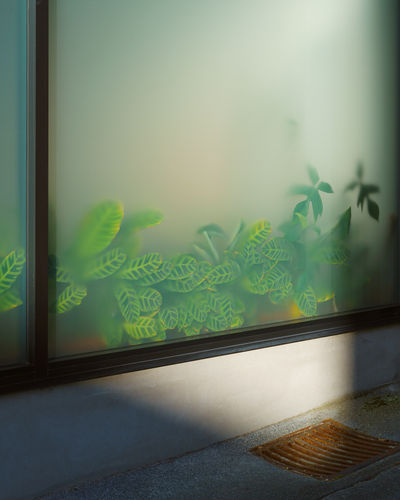 Scott Cai Vinegar Lane