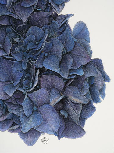 LIAM GERRARD Diurnus