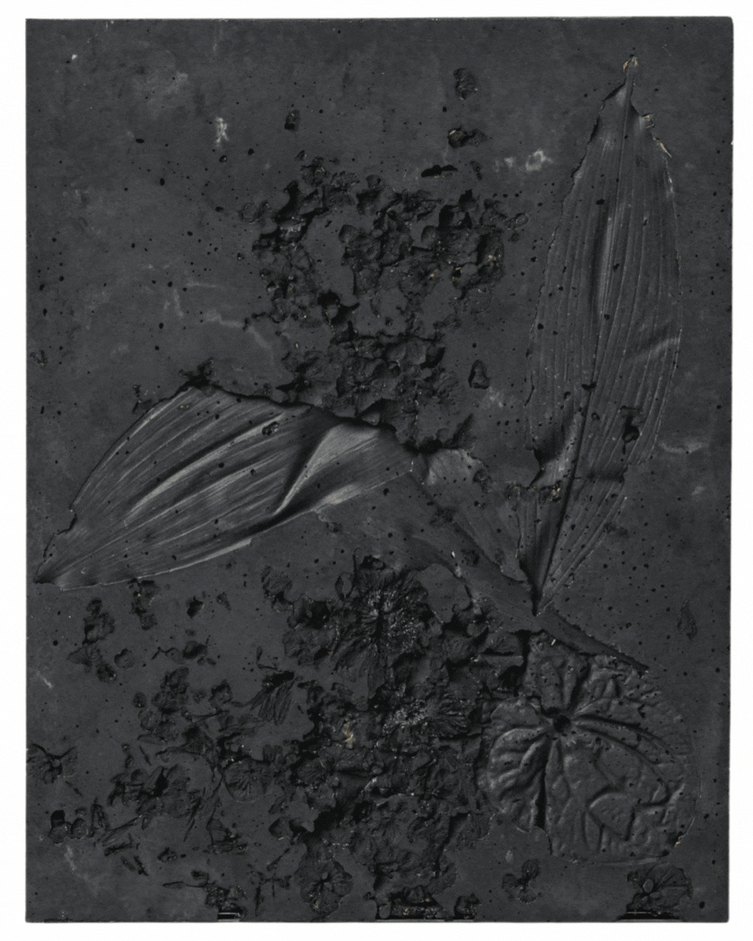 Alessandro Piangiamore