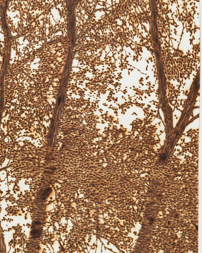 Olivier Kosta-Théfaine