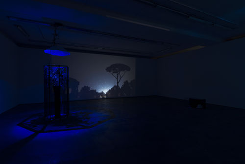 Hicham Berrada , Caverne