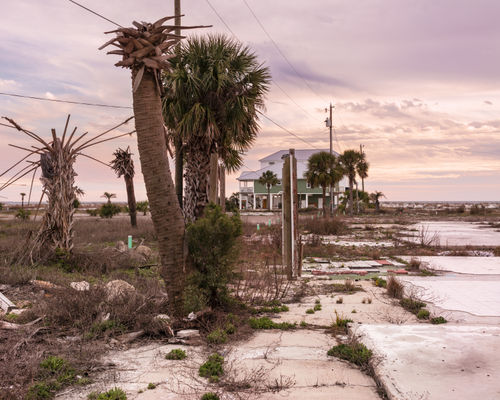 Anastasia Samoylova, 'Empty Lots, Mexico Beach (from the Florida series)', 2021, Archival pigment print, 101.6 x 127 cm, Edition of 5.