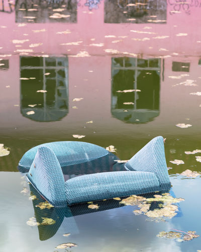 Anastasia Samoylova | Adaptation, Saatchi Gallery, London