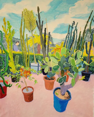 林文捷：观景人, 策展人 王垚力