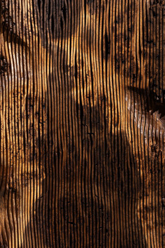 QUERCU: Alan Meredith, Selected Highlights