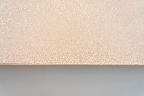 Caline Aoun at The Dock