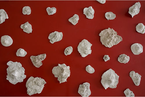 Paola Yacoub’s Radical Grounds in Al Modon