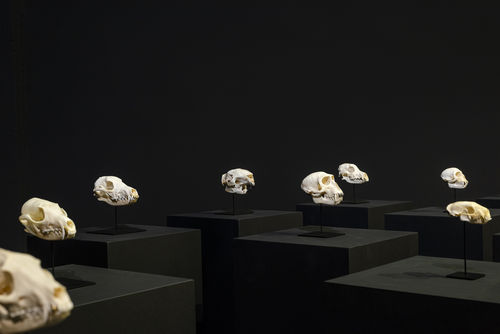 Canvas Online | Raed Yassin at Beirut Art Center