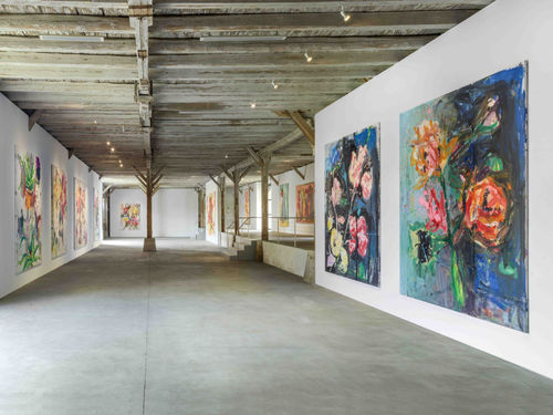 HILDESHEIMER ALLGEMEINE ZEITUNG, SCHLOSS DERNEBURG: MUSEUM STARTET MIT SIEBEN AUSSTELLUNGEN IN DIE SAISON