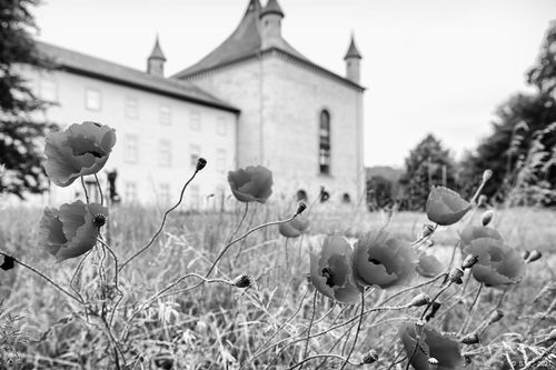 HÖCHSTE ZEIT … , SCHLOSS DERNEBURG – HALL ART FOUNDATION – 2021