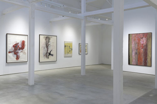 OBSERVER, THE PENETRATING INTENSITY OF SUSAN ROTHENBERG