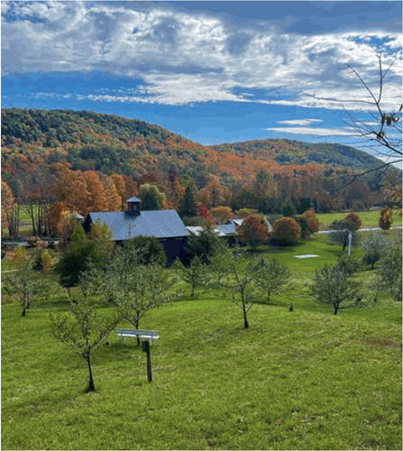 [kruger artist, kruger show]