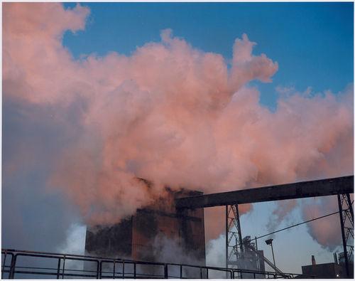 WHITEHOT MAGAZINE, LANDSCAPES GET WONDERFULLY COMPLICATED AT NYU'S GREY ART GALLERY