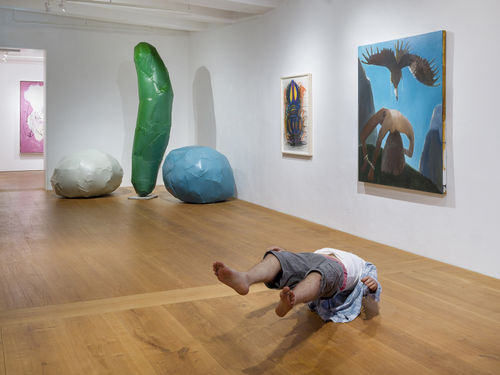 HILDESHEIMER ALLGEMEINE ZEITUNG, KUNST IM DERNEBURGER SCHLOSS: HODEN SCHWINGEN IN ZEITLUPE ZUR MUSIK VON MOZART