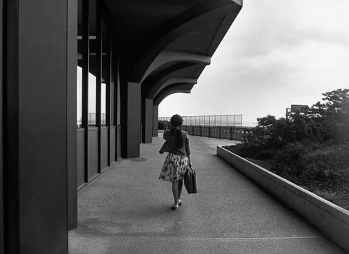 There is so Much to See, Contemporary Photography