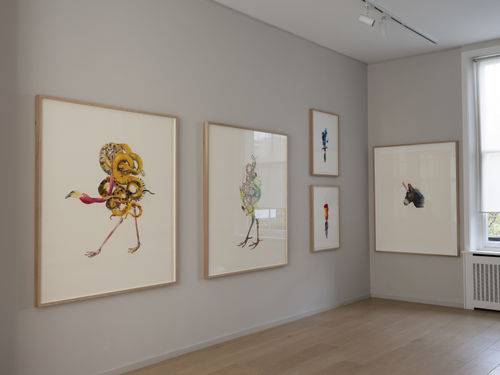 Hypnagogia, Maria Thurn und Taxis