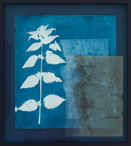 Tue Greenfort, MARKEN ER MEJET