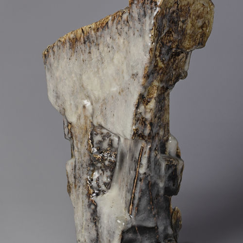 Cascades and Glacial Landscapes: Jeff Shapiro, Zoom Gallery Talk