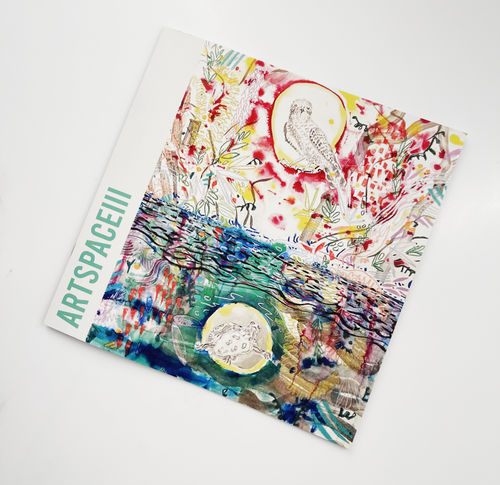 Artspace111, Swallow The Frog