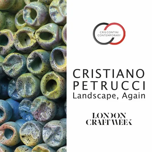 Landscape, Again, Cristiano Petrucci