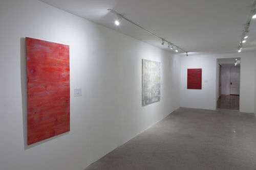 Ana Guerra Installation View, Cade Tompkins Projects