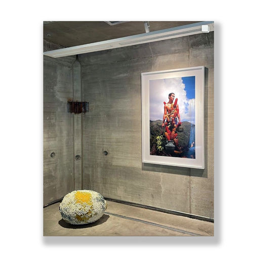 Skin in the Game, Chicago, Illinois, group exhibit curated by Zoe Lukov and produced by Abby Pucker