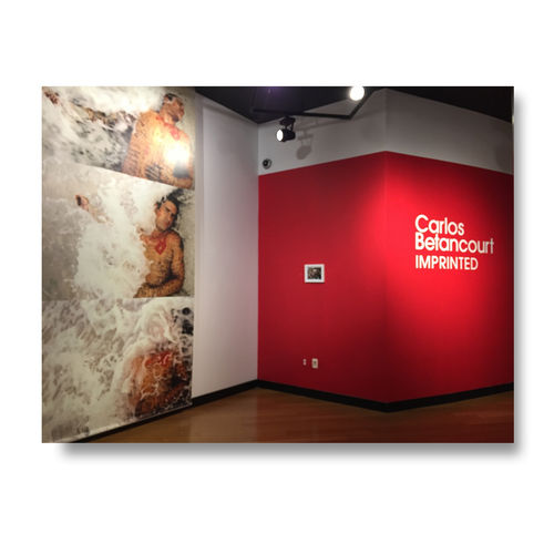 Imprinted, Solo exhibit, Southeast Museum of Photography, Daytona State College, Florida
