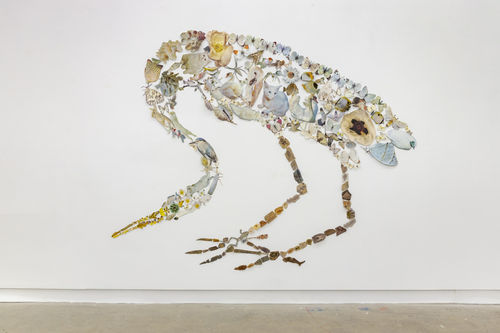 In The Shadow Of Sirius, Jennifer Murphy